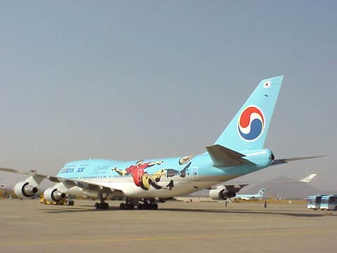 월드컵 홍보 항공기